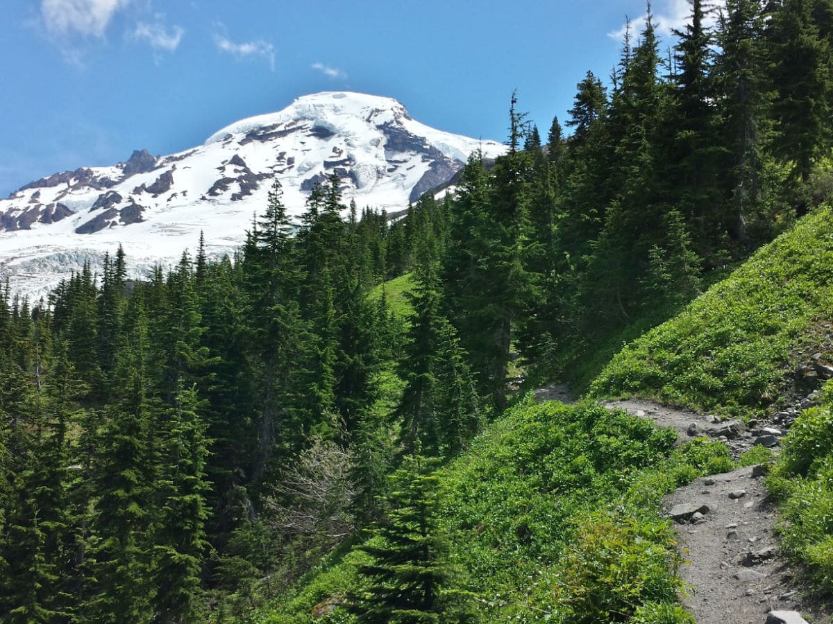 First view of Mount Baker on the Heliotrope Ridge Hike in Mt Baker, Washington