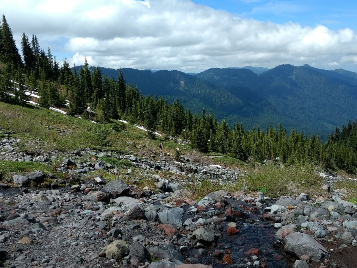 View north from the creek on the Heliotrope Ridge Hike in Mt Baker, Washington