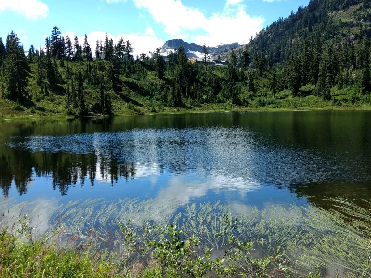 Table mountain in the distance on the Picture Lake Hike near Mt Baker, Washington