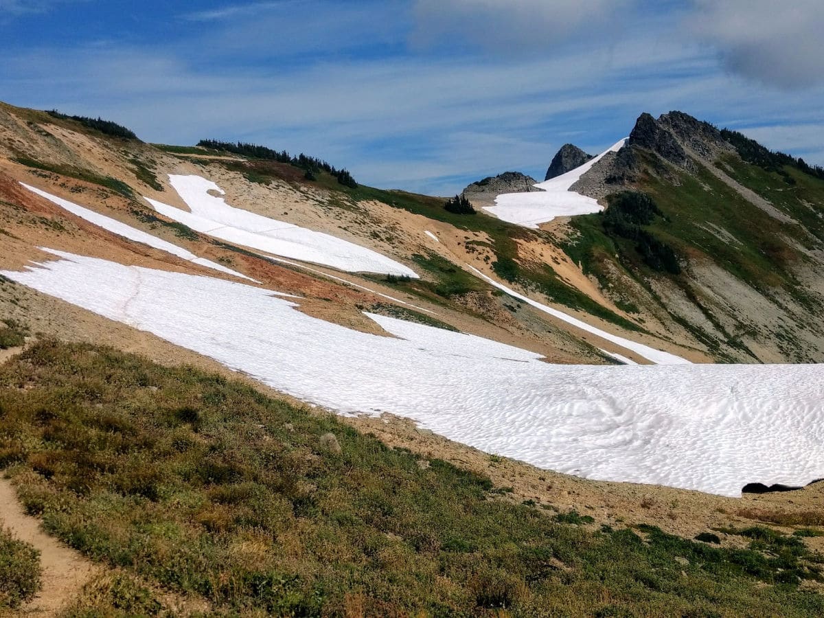Snowfield near Coleman Pinnacle on the Yellow Ptarmigan Ridge Hike near Mt Baker, Washington