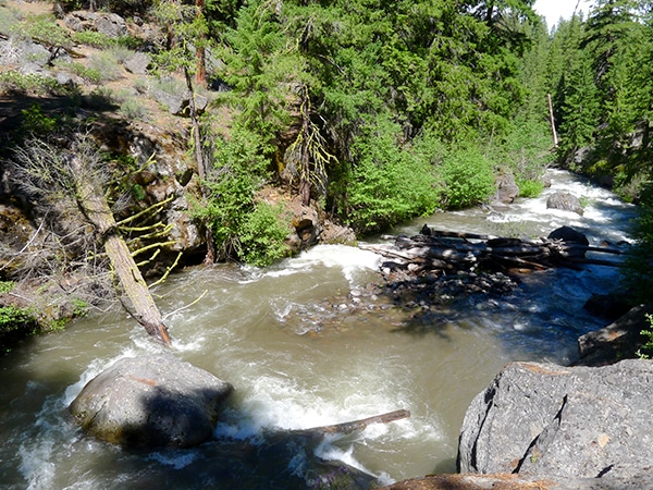 Whychus Creek Trail hike around Bend, Oregon