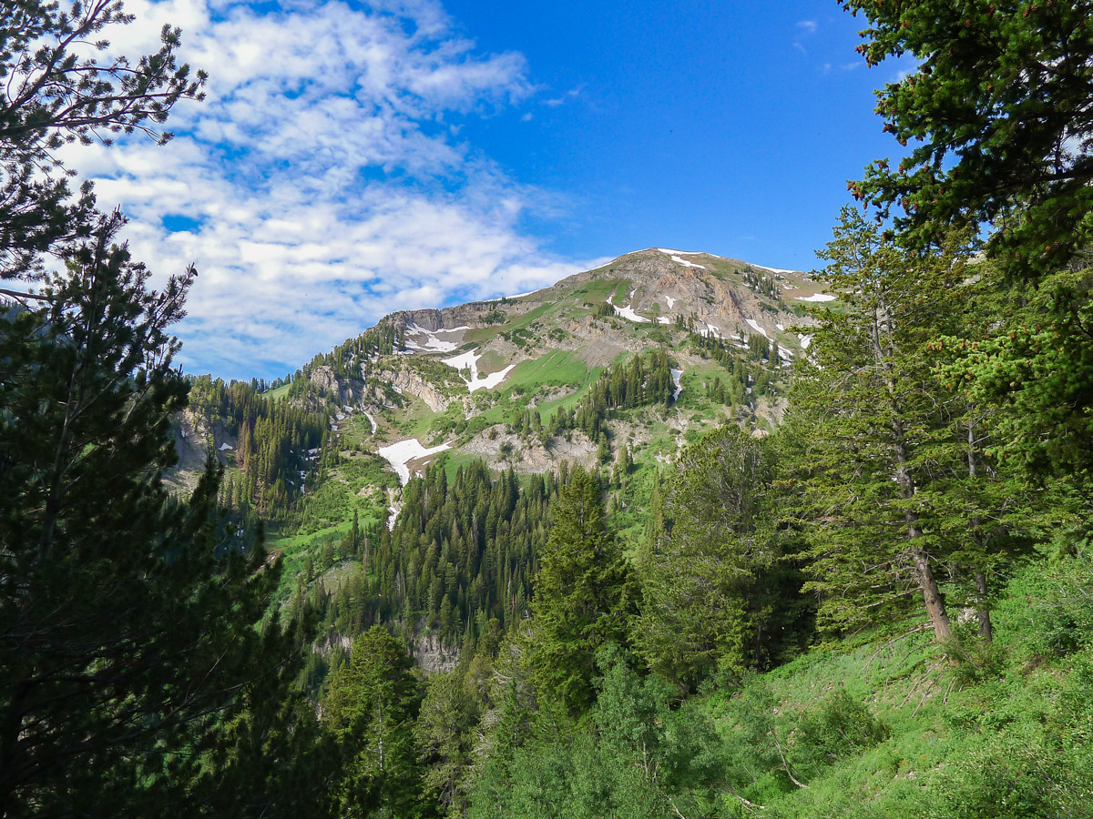 View of summit massif on Box Elder Peak hike in Salt Lake City, Utah