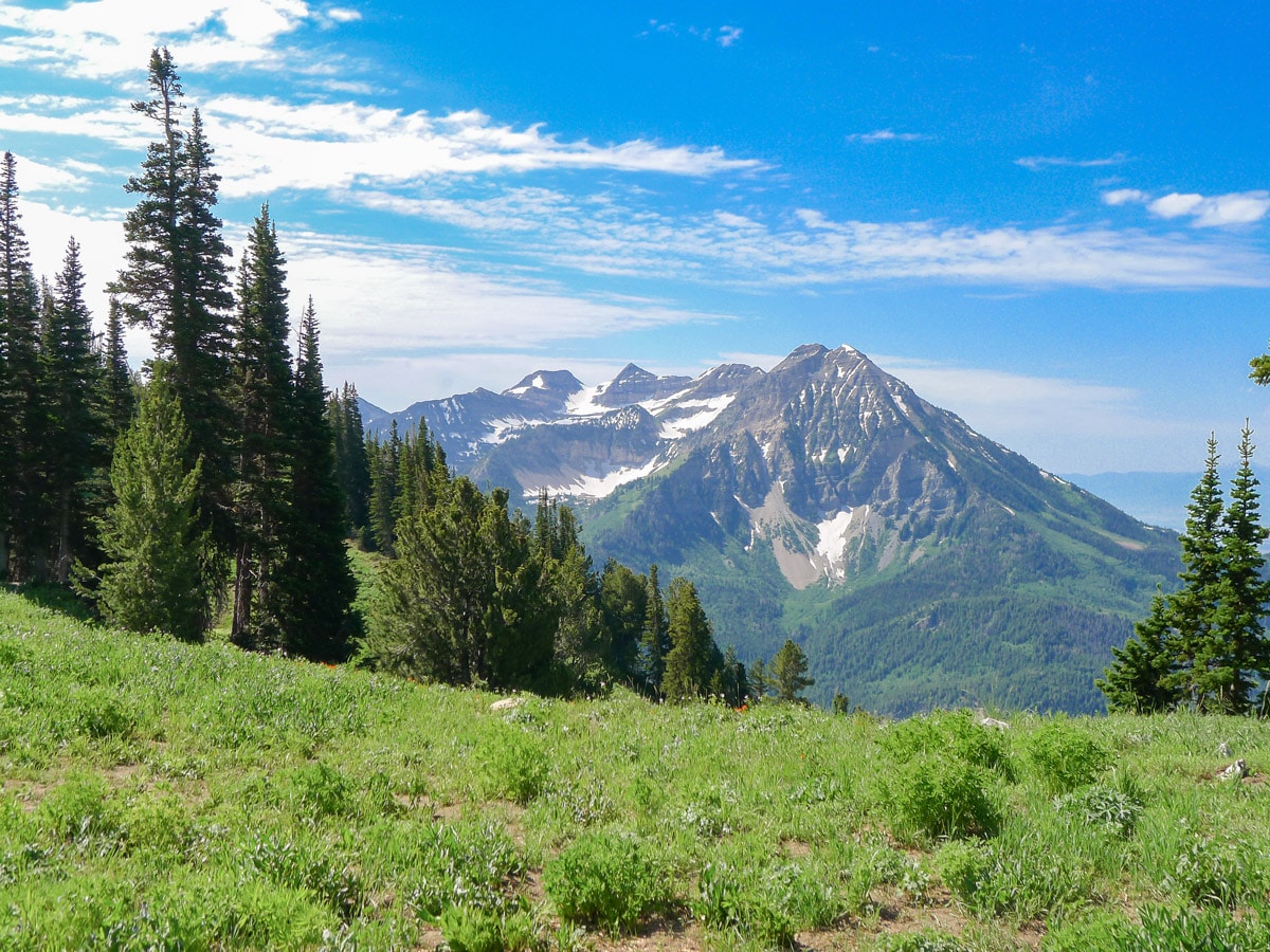 View from saddle on Box Elder Peak hike in Salt Lake City, Utah