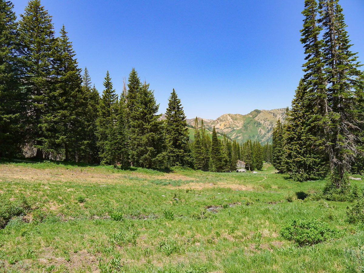 Cecret Lake hike near Salt Lake City has beautiful views of high alpine views