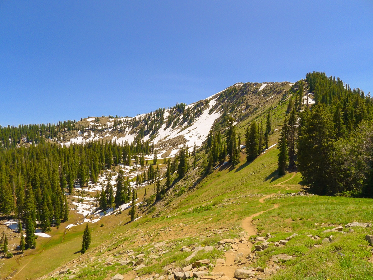 View of the peak from a saddle on Clayton Peak trail hike from Salt Lake City, Utah