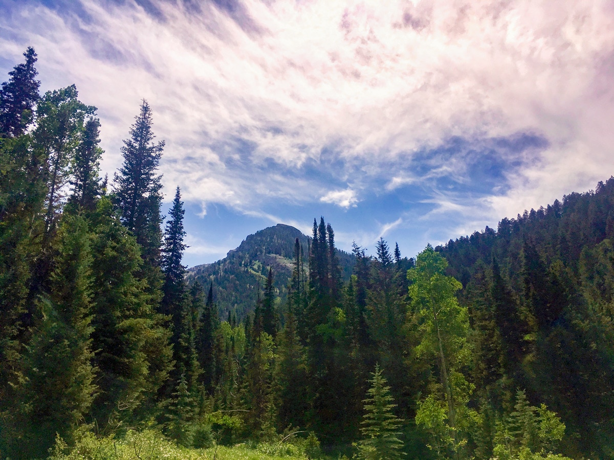 Kesler Peak view on Donut Falls hike from Salt Lake City, Utah