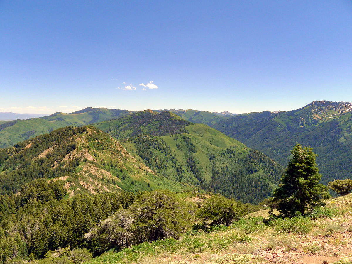 View along the ridgeline on Mt. Aire hike in Salt Lake City