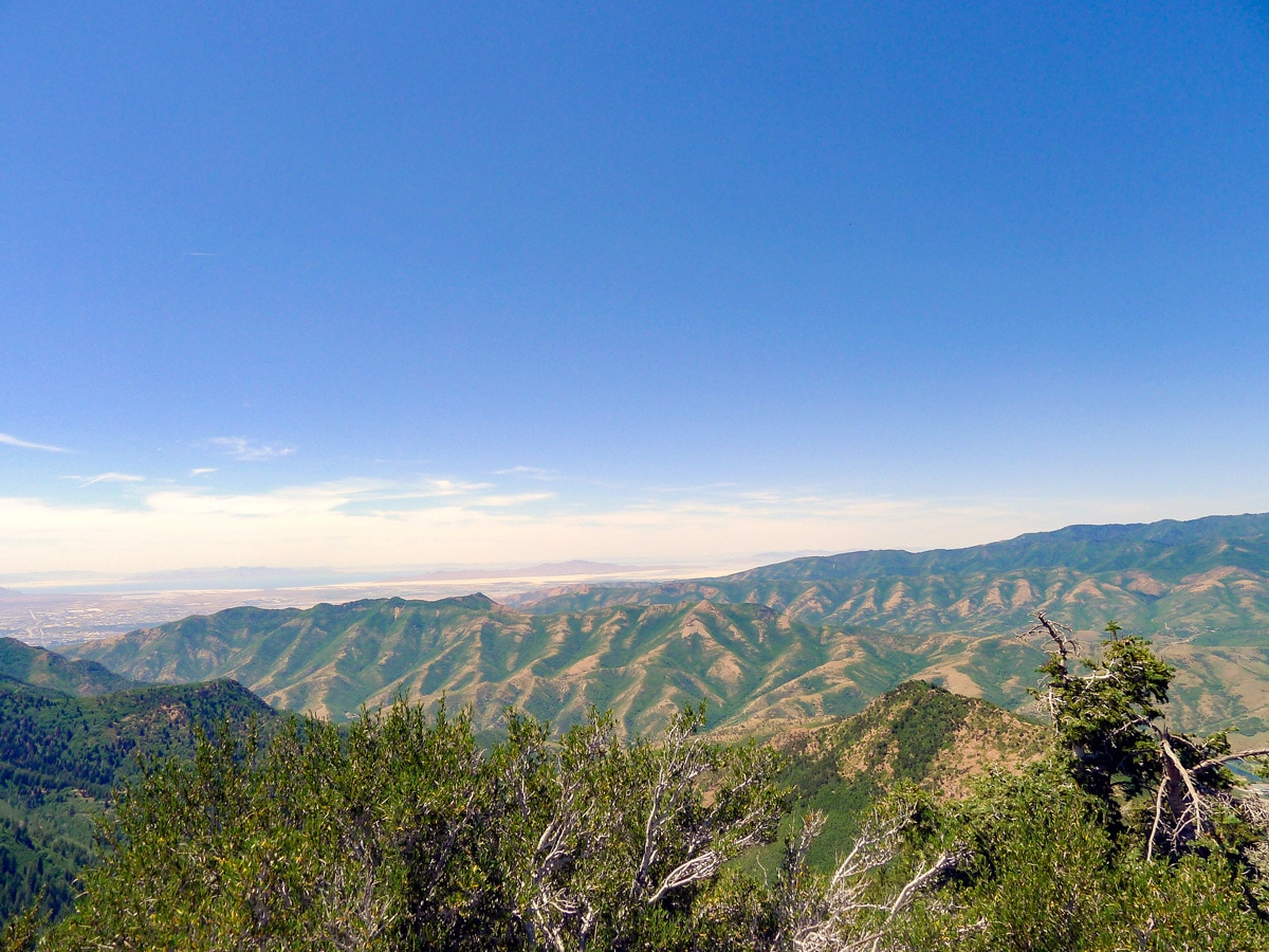 Arid foothills on Mt. Aire hike from Salt Lake City, Utah