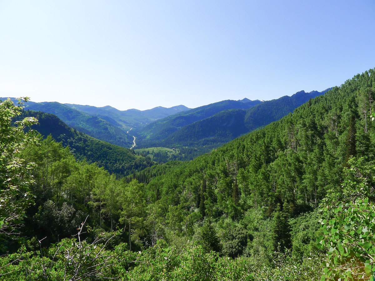 Lush canyon views on Mt. Raymond hike in Salt Lake City, Utah