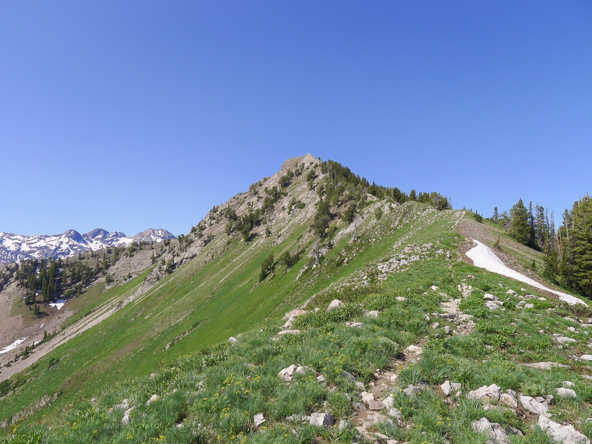 Summit ridge on Mt. Raymond hike in Salt Lake City, Utah