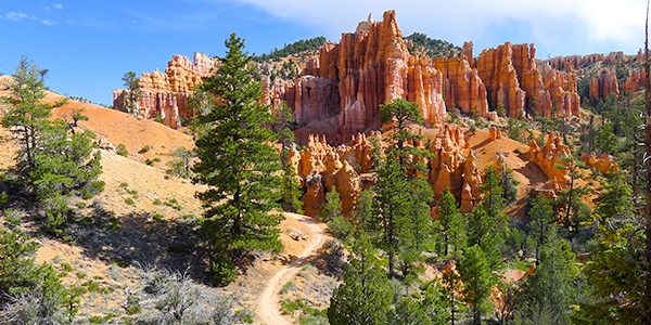Panorama from the Fairyland Loop Trail hike in Bryce Canyon National Park, Utah