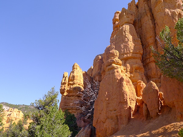 Scenery from the Hoodoo Trail hike in Bryce Canyon National Park, Utah