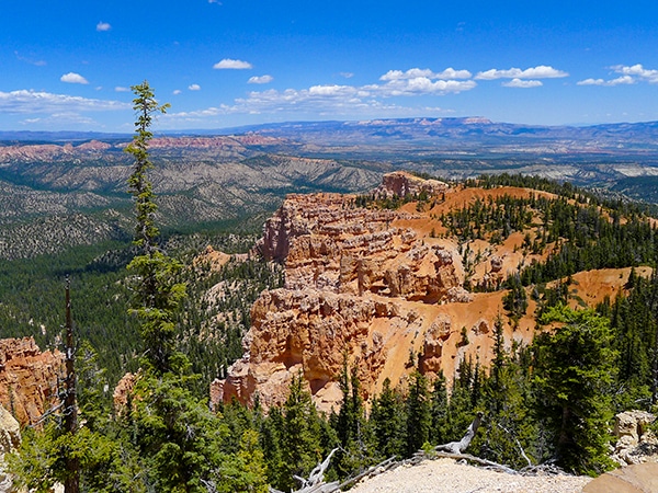 Hike the Riggs Spring Loop Trail in Bryce Canyon