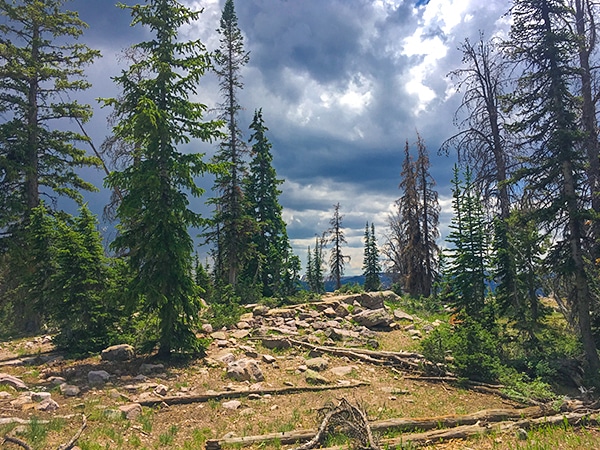 Trail of the Packard Lake hike in the Uinta Mountains