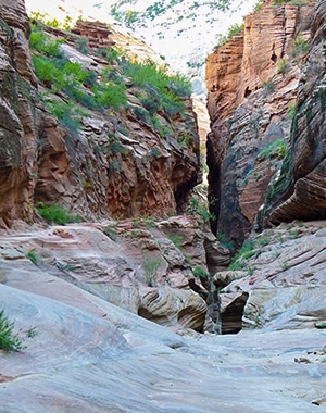 Scenery from the Observation Point hike in Zion National Park