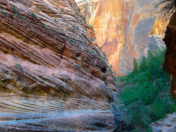 Views from the Observation Point hike in Zion National Park