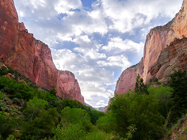 Scenery from the Taylor Creek hike in Zion National Park