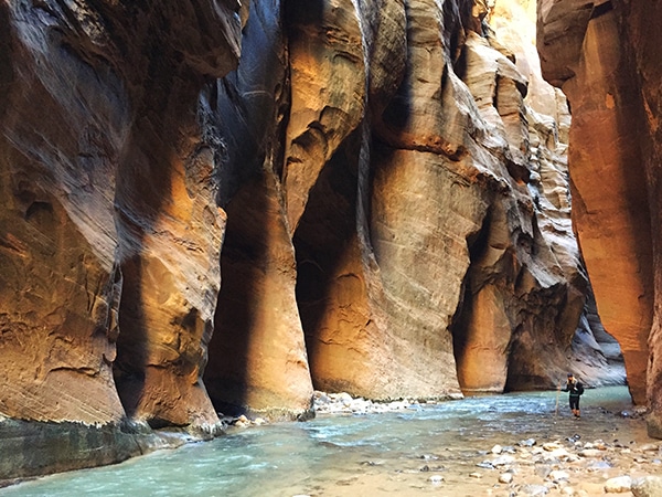 Views from the Narrows hike in Zion National Park