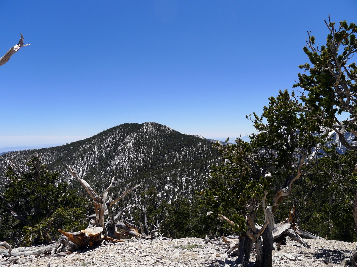 Looking towards peak from the False Peak on the Fletcher Peak Hike near Las Vegas, Nevada
