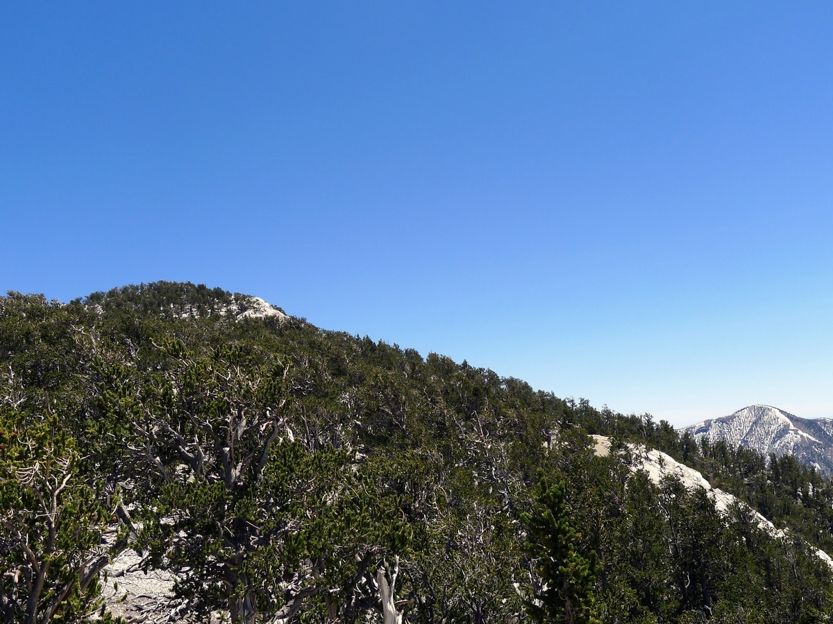 Summit Ridge on the Fletcher Peak Hike near Las Vegas, Nevada