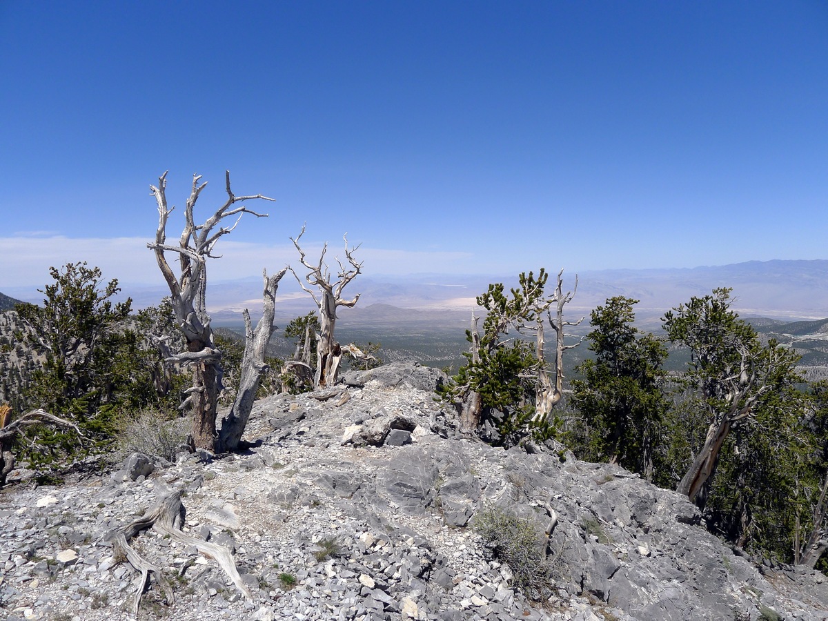 Rocky summit looking towards the desert on the Fletcher Peak Hike near Las Vegas, Nevada