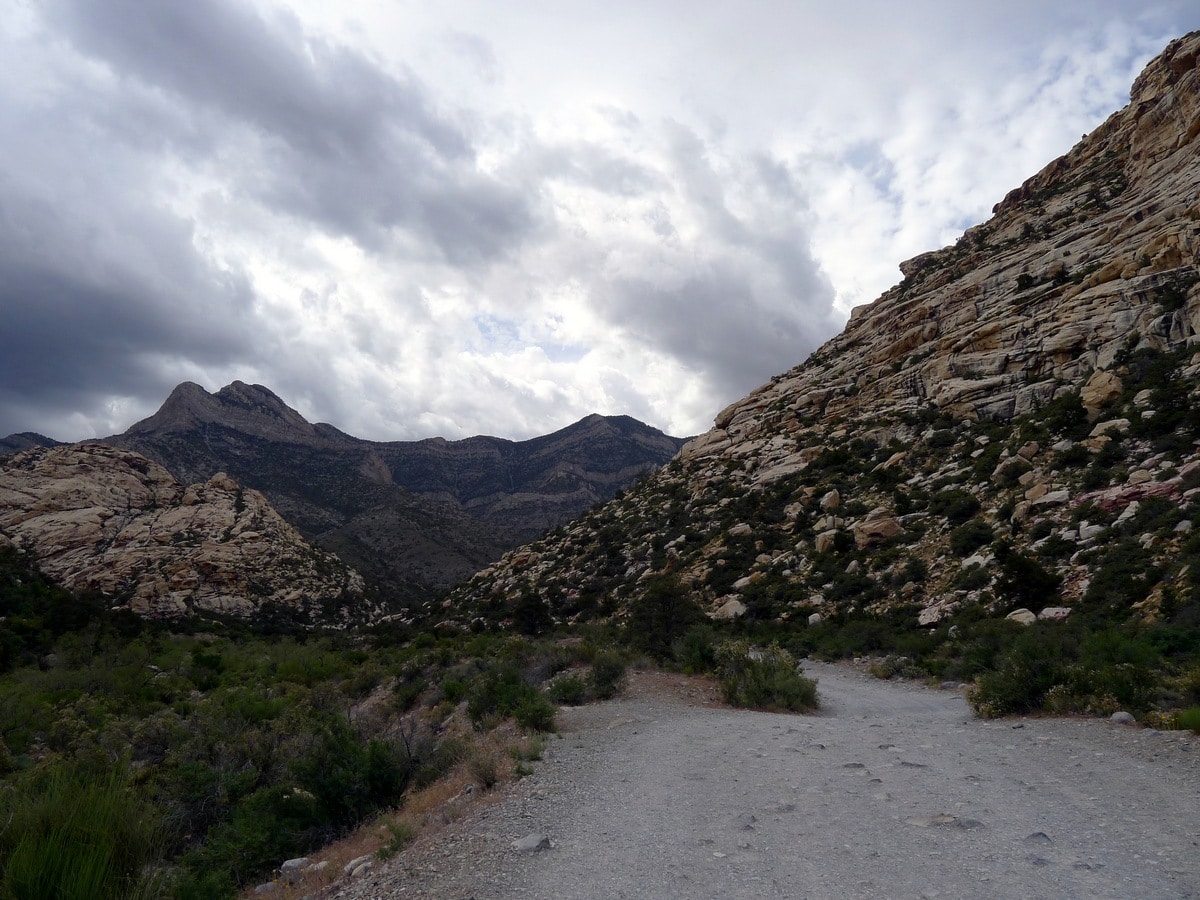 Beginning of the trail on the La Madre Springs Hike near Las Vegas