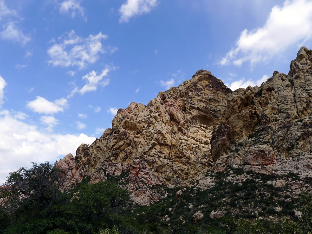 Great views of the La Madre Springs Hike near Las Vegas