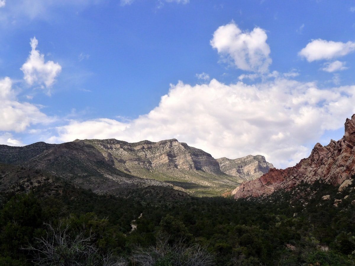 Looking towards the mountains from the La Madre Springs Hike near Las Vegas