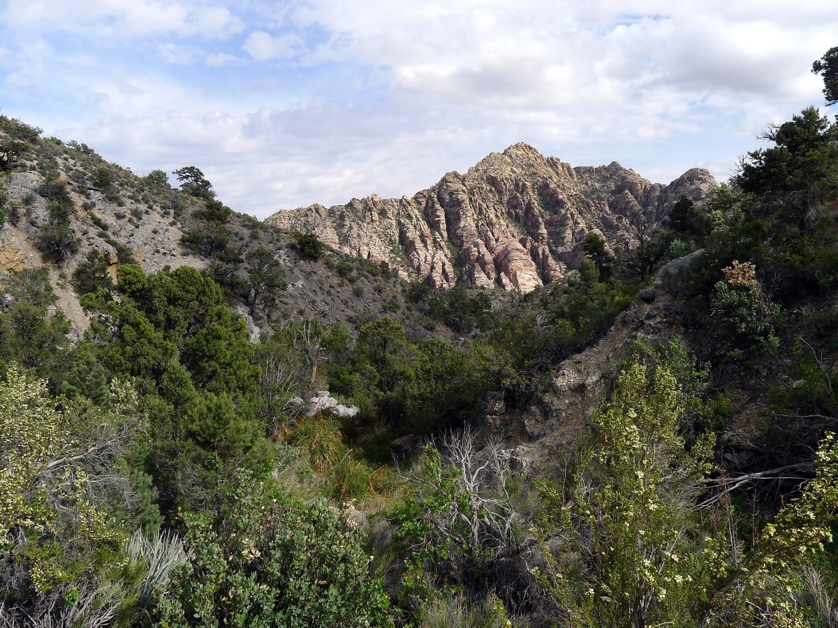 View from the ravine on the La Madre Springs Hike near Las Vegas