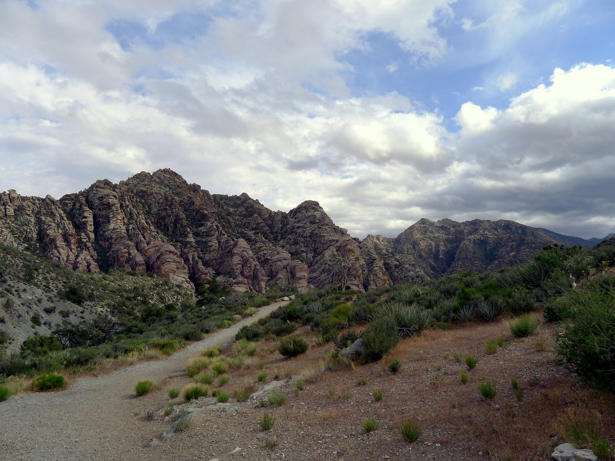 View from the end on double track trail from the La Madre Springs Hike near Las Vegas