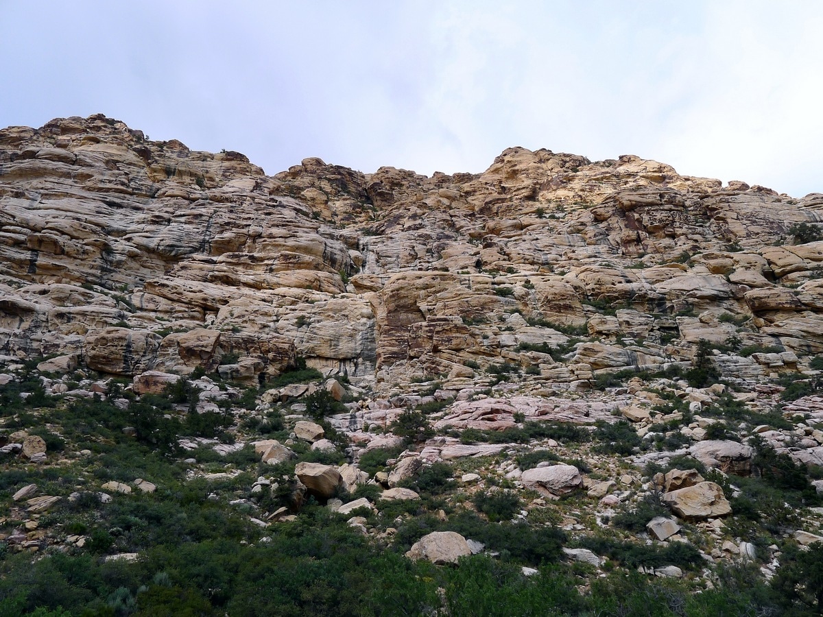 Rock formations on canyon walls from the La Madre Springs Hike near Las Vegas