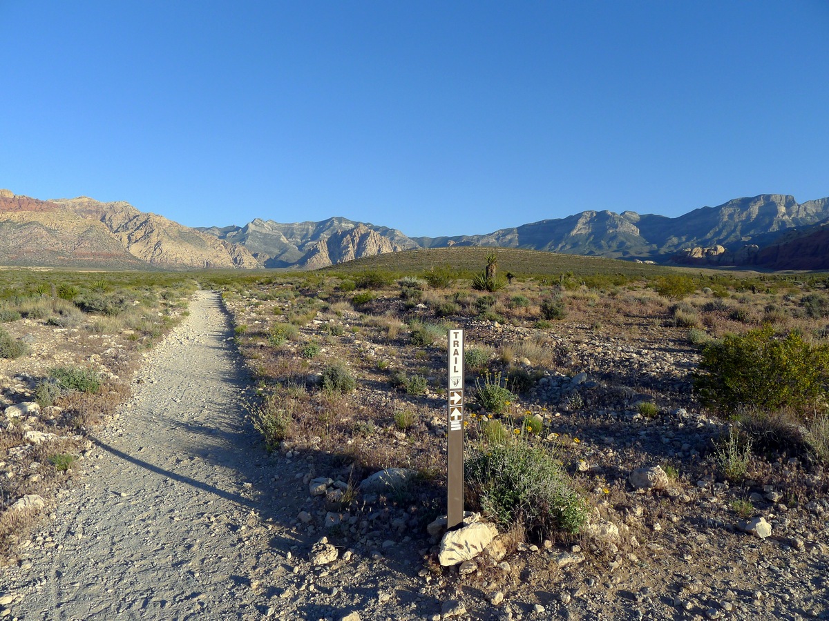 Trailfork of the Moenkopi Trail Hike near Las Vegas