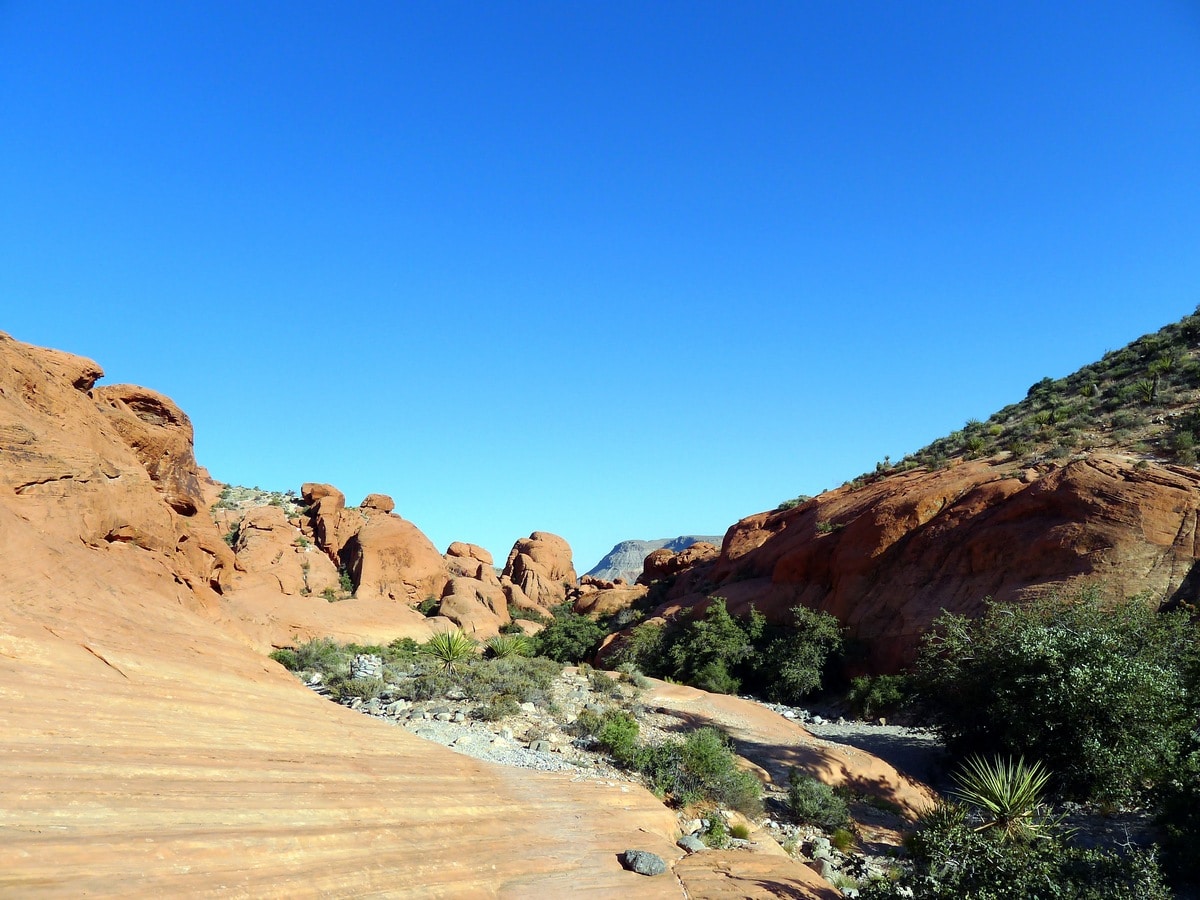 Trail of the Calico Hills Loop Hike in Red Rock Canyon near Las Vegas
