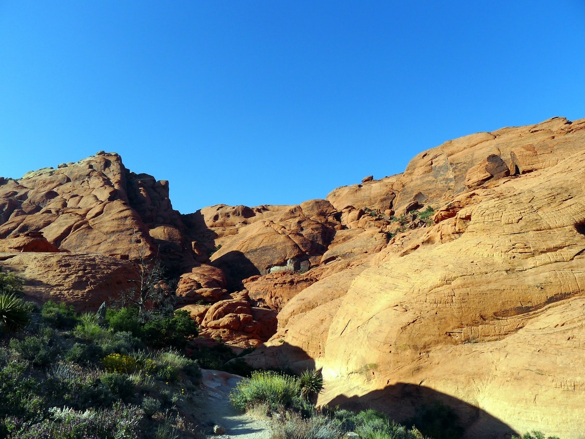 Canyon you can climb into on the Calico Hills Loop Hike in Red Rock Canyon near Las Vegas