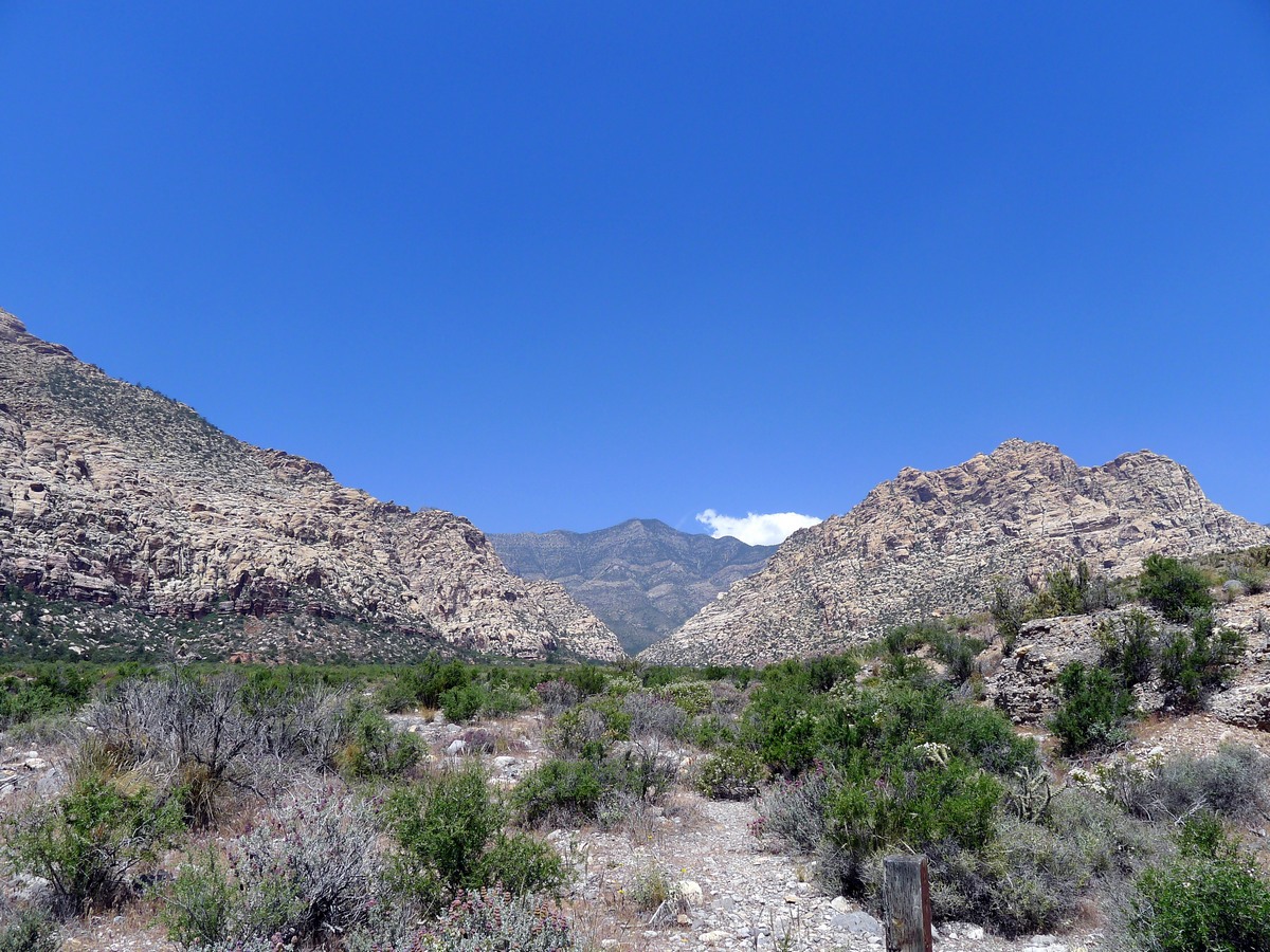 Looking north along the desert plateau at the Icebox Canyon Hike near Las Vegas