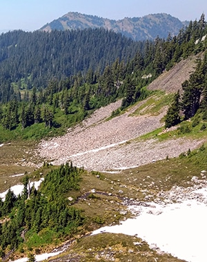 Scenery from the Chain Lakes Hike near Mt Baker, Washington