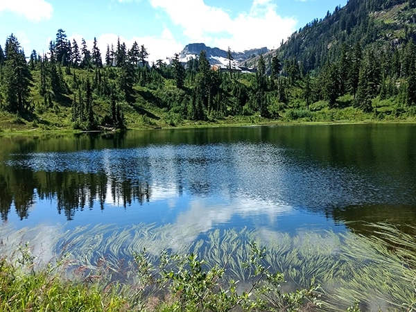 Views from the Picture Lake hike in Mt. Baker-Snoqualmie National Forest