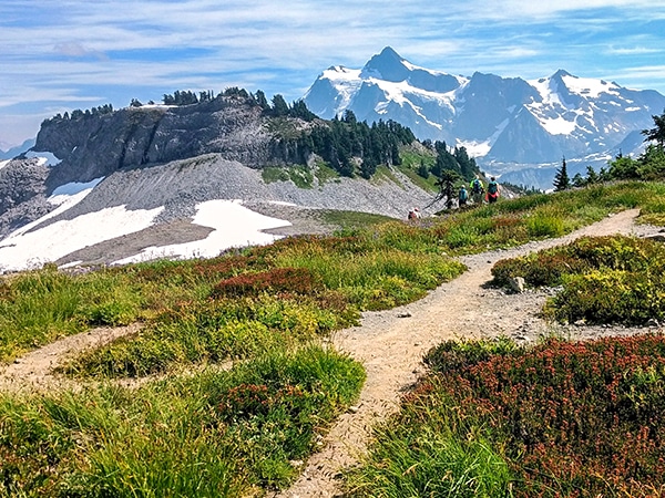 Trail of the Ptarmigan Ridge hike in Mt. Baker-Snoqualmie National Forest
