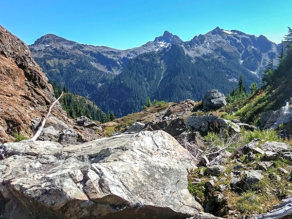 Yellow Aster Butte