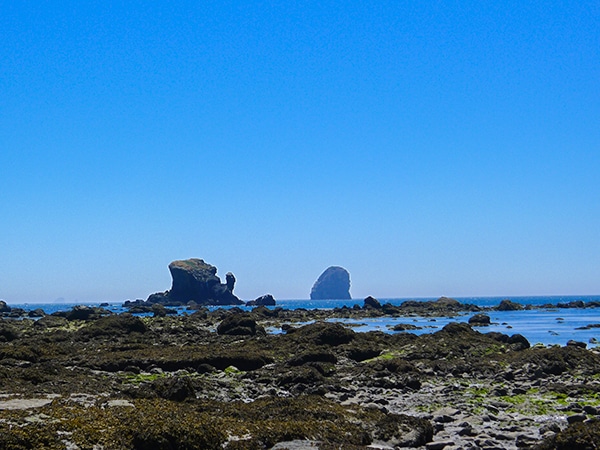 Views on the Ozette Triangle hike in Olympic National Park, Washington