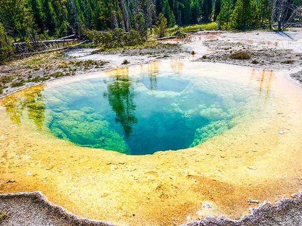 Scenery of the Upper Geyser Basin Hike in Yellowstone National Park