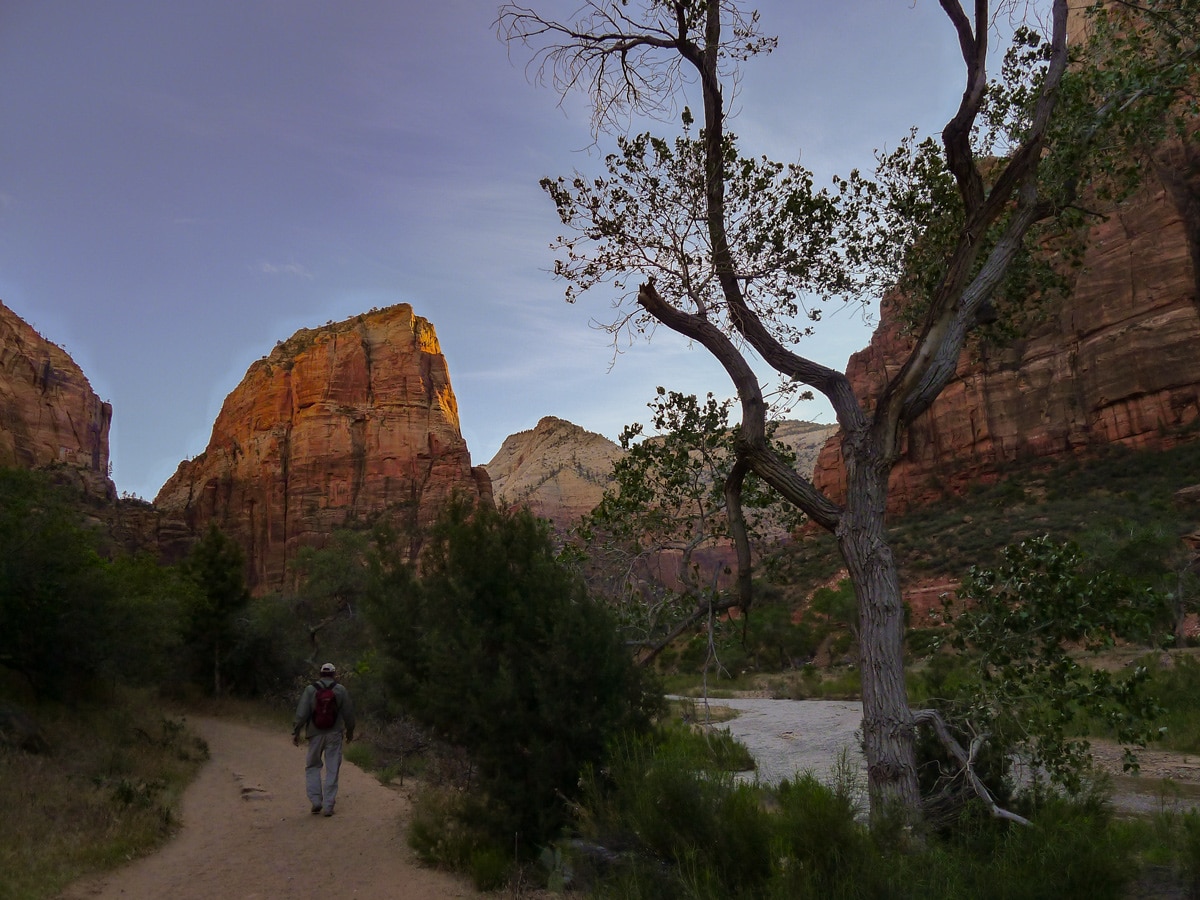 View from Angel's Landing hike in Zion National Park, Utah