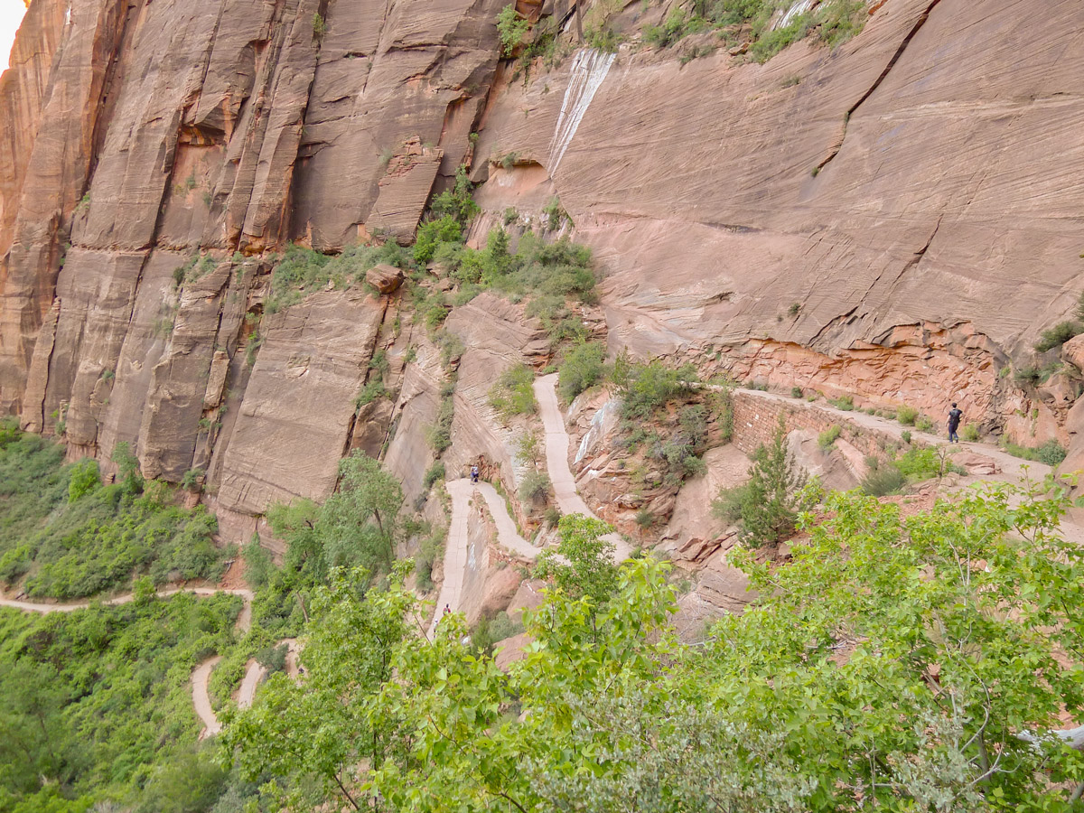 Switchbacking on Angel's Landing hike in Zion National Park
