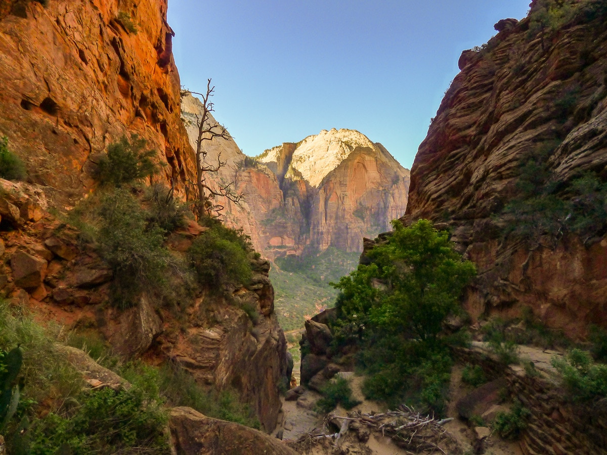 Angel's Landing hike in Zion National Park is one the best trails in Utah