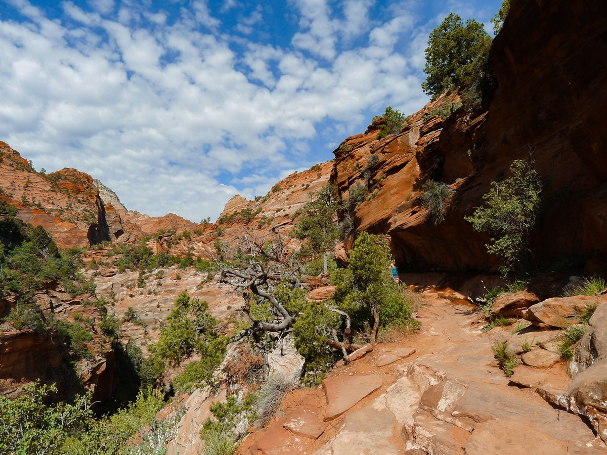 Beginning of Canyon Overlook hike in Zion National Park, Utah