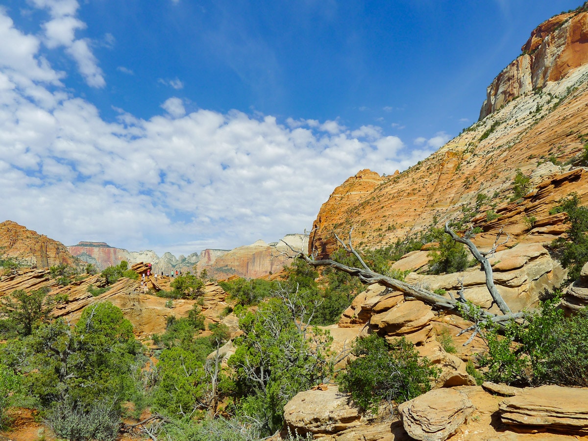 Great scenery on Canyon Overlook hike in Zion National Park