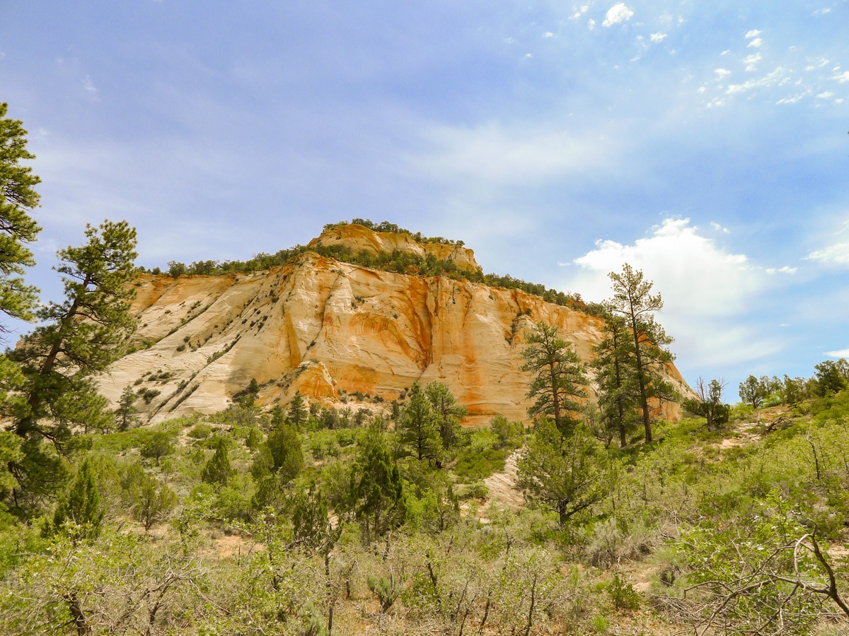 East Rim Trail hike in Zion National Park is surrounded by beautiful rock formations