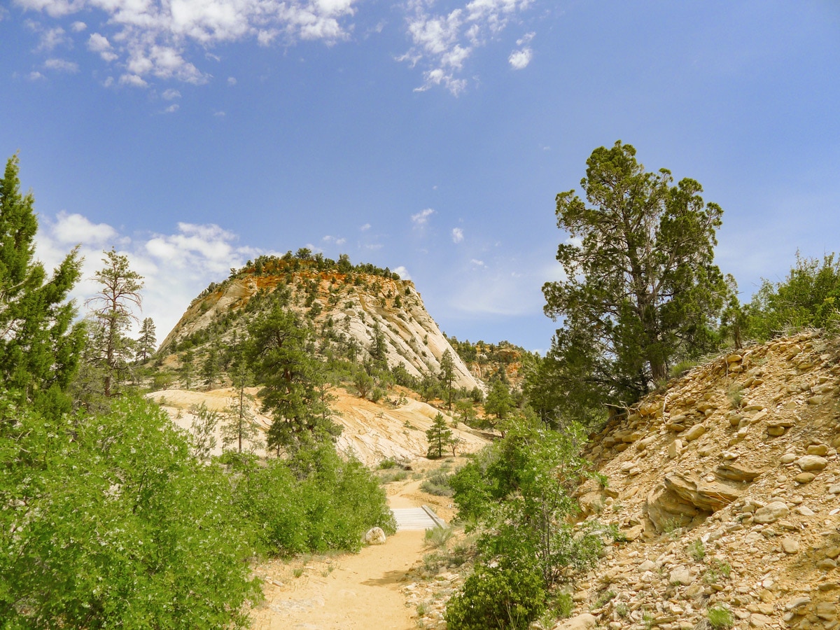 East Rim Trail hike in Zion National Park is a beautiful trail in Utah