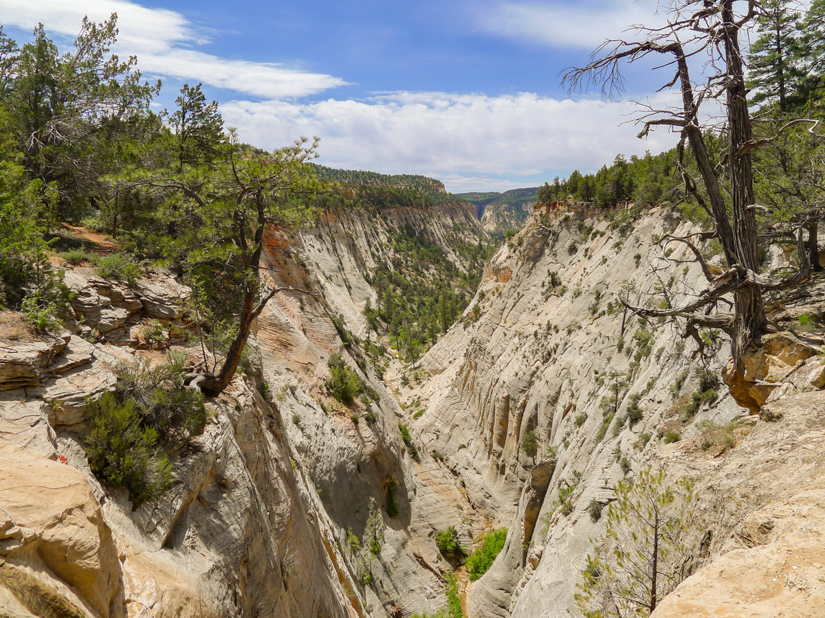 East Rim Trail hike in Zion National Park has beautiful views of Jolley Gulch