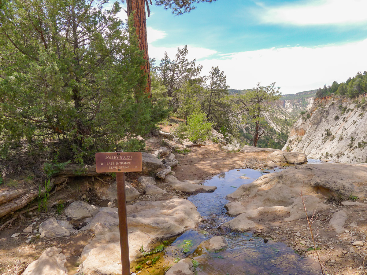 East Rim Trail hike in Zion National Park is surrounded by beautiful views